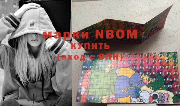 СК Зеленокумск