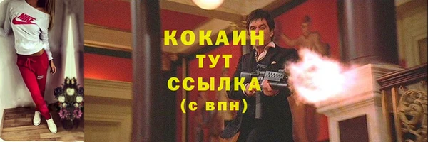 СК Зеленокумск