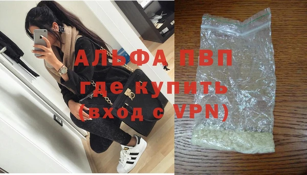 СК Зеленокумск