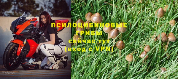 СК Зеленокумск