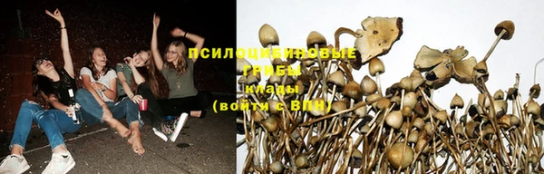 спайс Зерноград