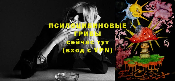 СК Зеленокумск