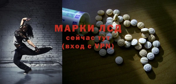 СК Зеленокумск
