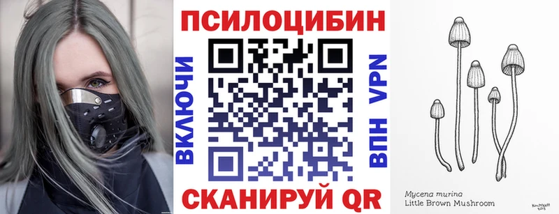 Купить где  Долинск  Псилоцибиновые грибы Cubensis 
